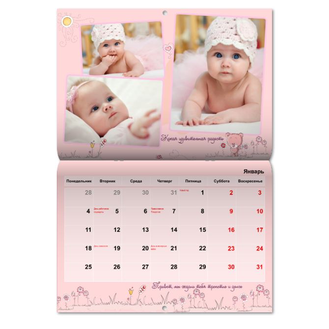 Magazine calendars Bears pink
