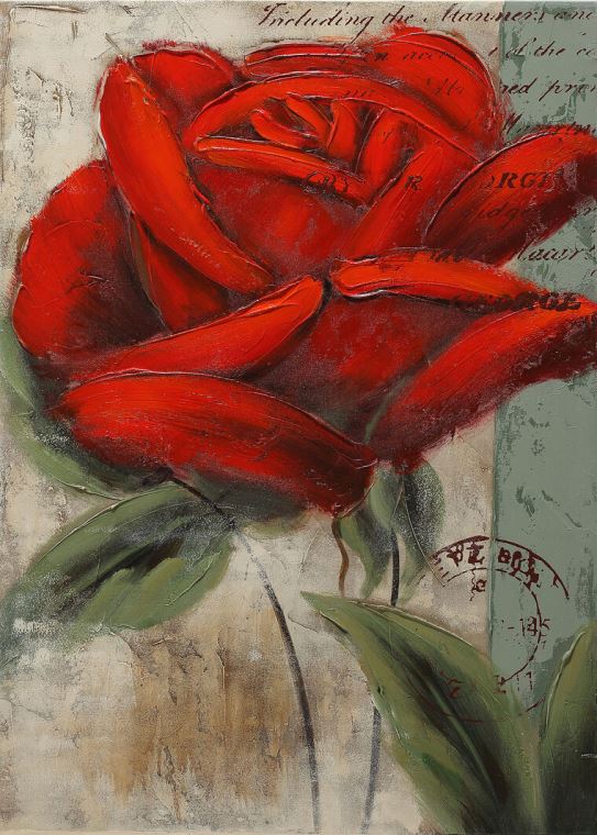 Картины A big red rose