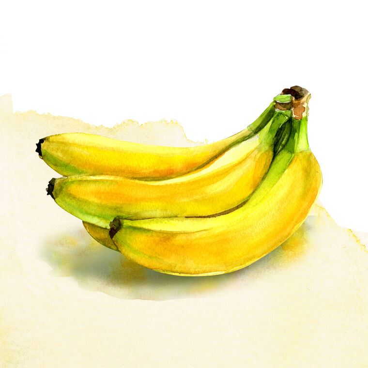 Купить и печать на заказ Картины Бананы акварель