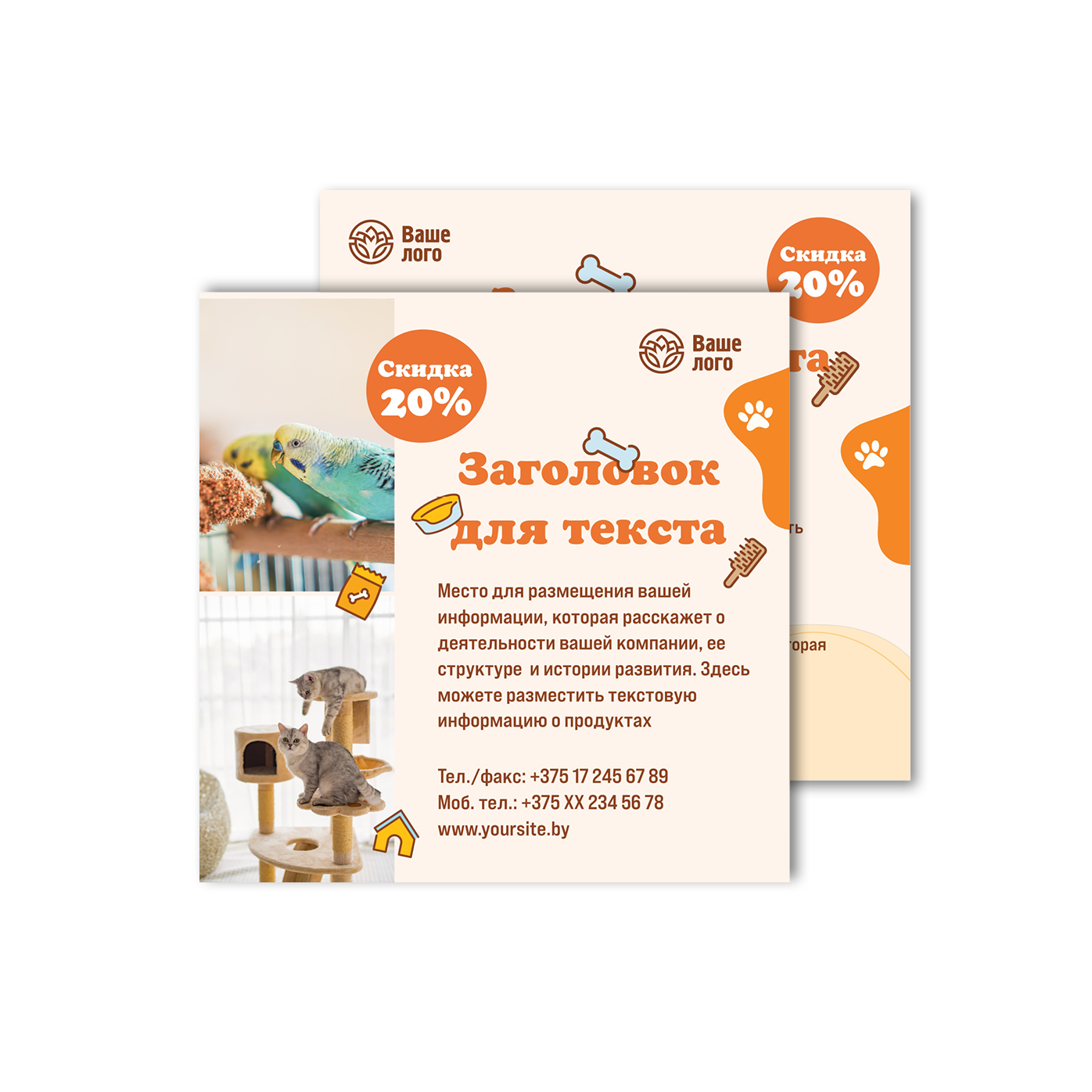 Flyers are double-sided Pet supplies, pet store