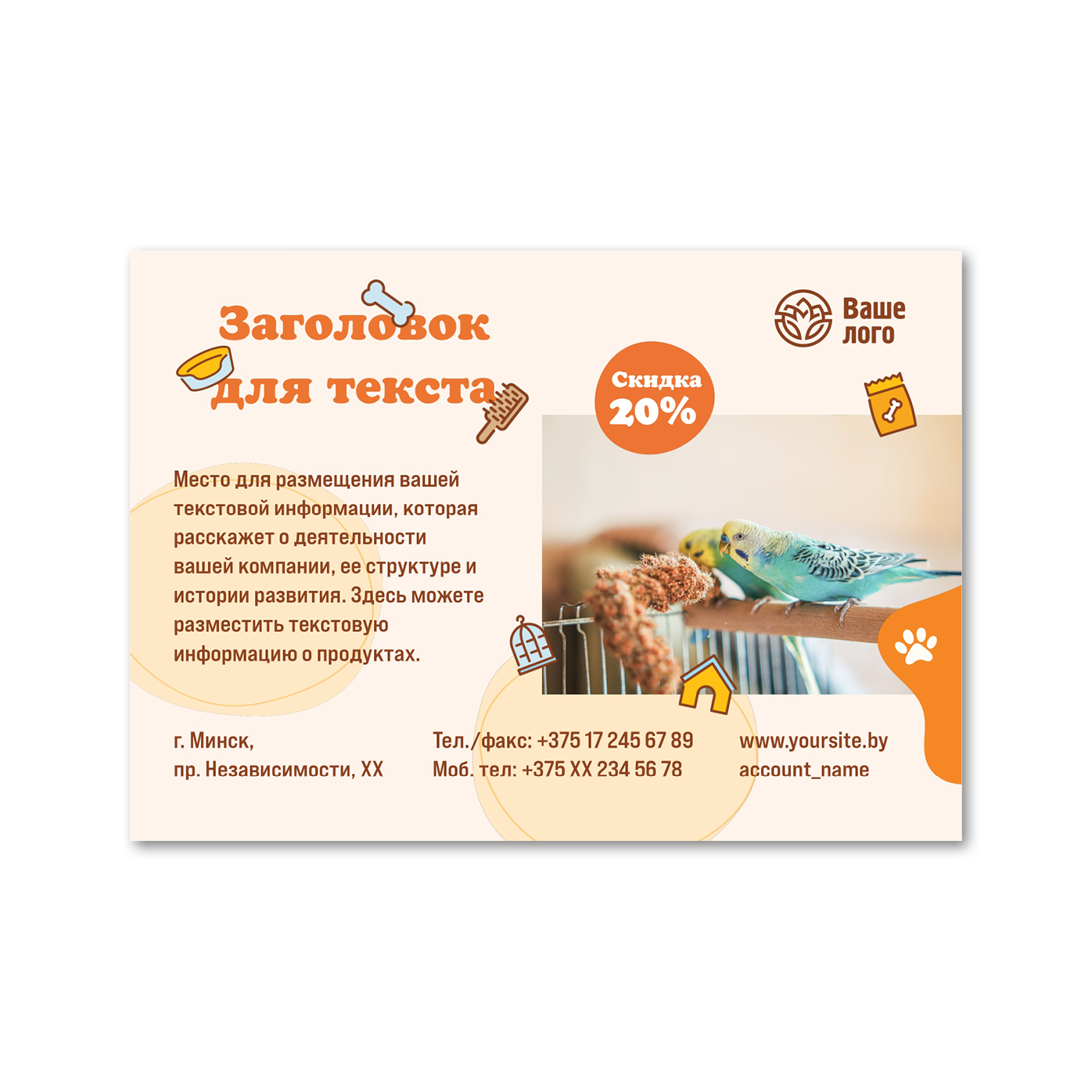 A6 Flyers Pet supplies, pet store