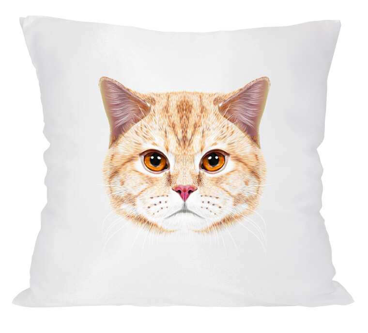 Pillows Red Cat