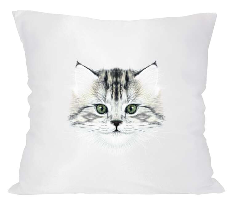 Pillows Kitty