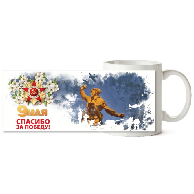 Chameleon mugs Victory Day Kombat