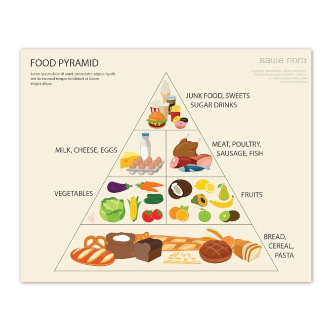 School and educational projects Food pyramid