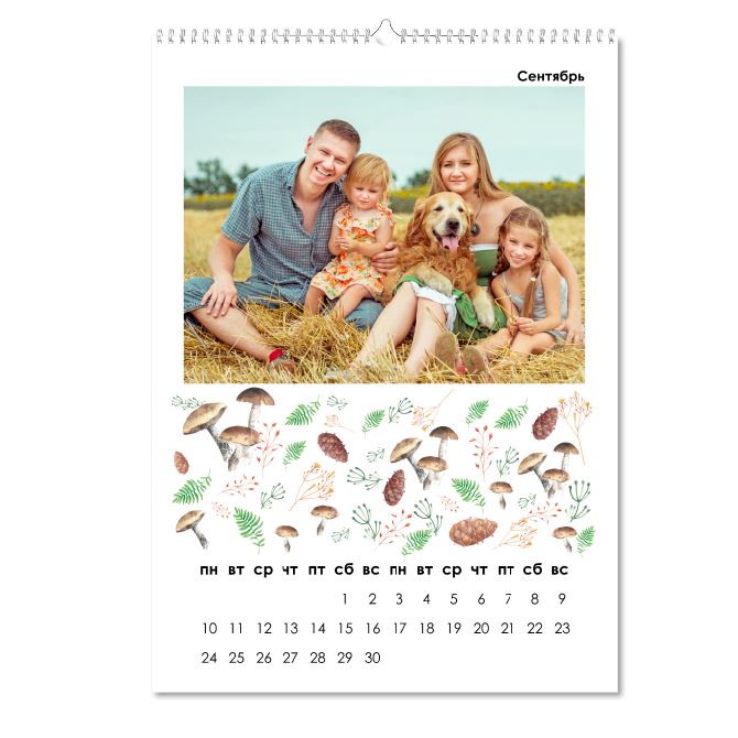 Flip calendars Paint year pictures