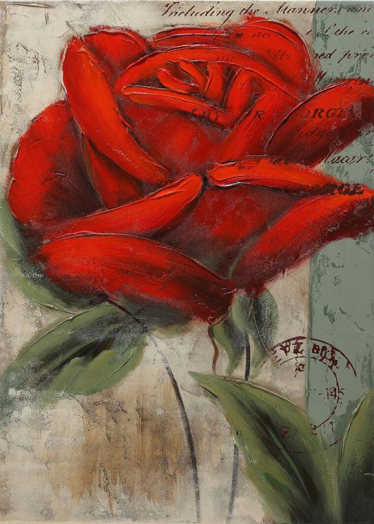 Картины, фото с паспарту A big red rose