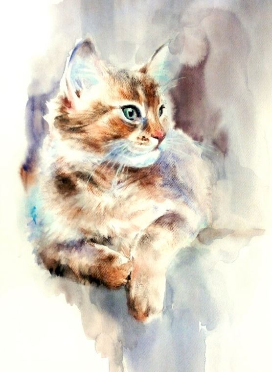 Картины, фото с паспарту Cat watercolor