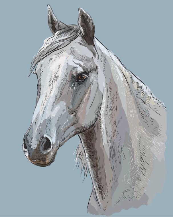 Репродукции картин Horse digital illustration