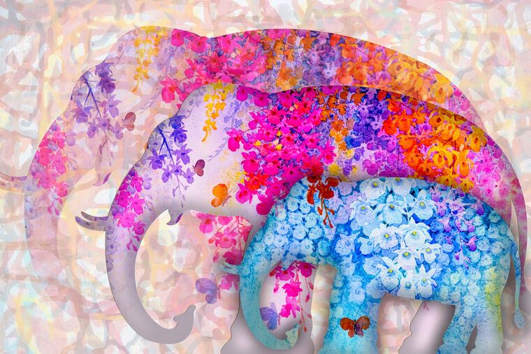 Картины на пластике, пеноркартоне Colored elephants