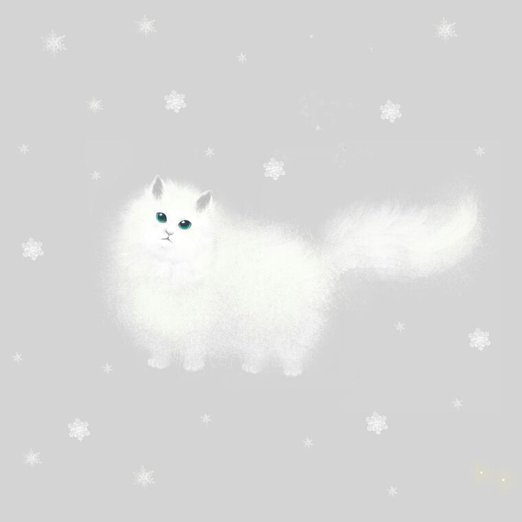 Картины в рамке, багете Fluffy cat