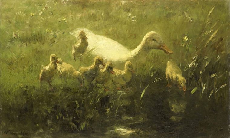 Картины на подрамнике White duck with seven Chicks (Willem Maris)