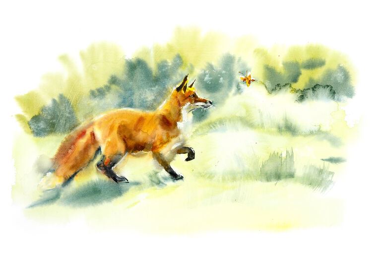 Картины на пластике, пеноркартоне Fox watercolor