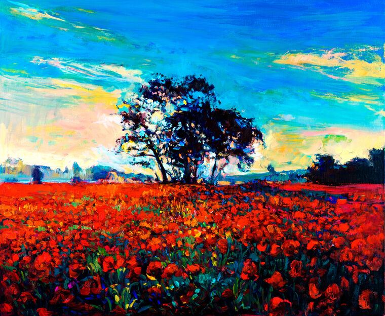 Картины на фотобумаге Bright field of poppies