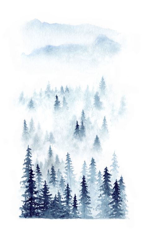 Картины, фото с паспарту Forest in the mist watercolour