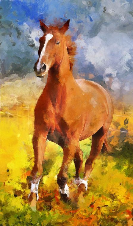 Paintings Horse digital painting