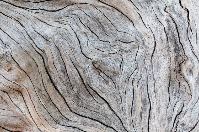 Картины на пластике, пеноркартоне Texture of old wood