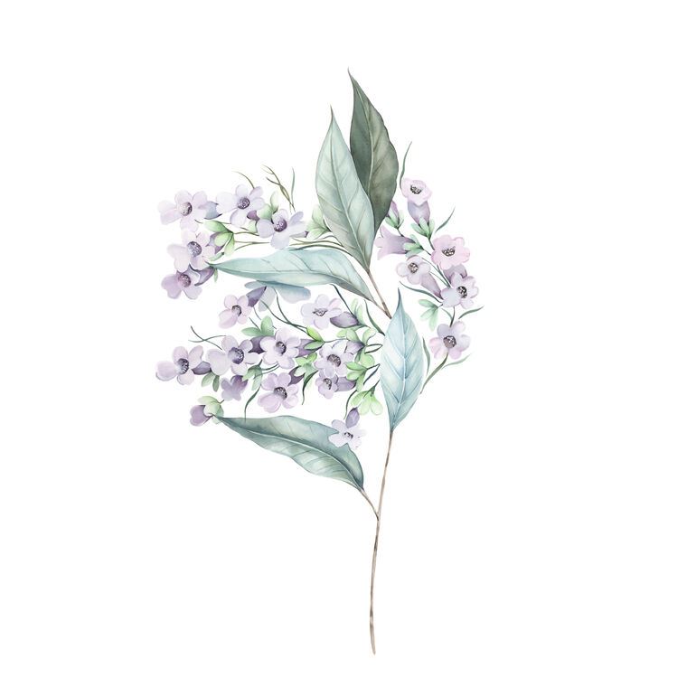 Картины на пластике, пеноркартоне A series of delicate watercolor floral стиль_3