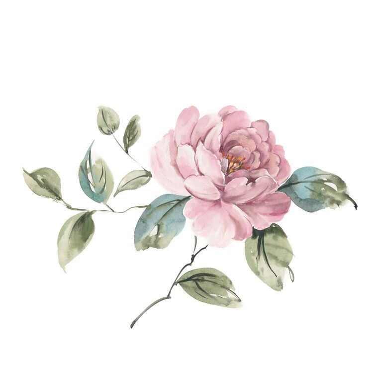 Картины на фотобумаге A series of delicate watercolor floral стиль_4