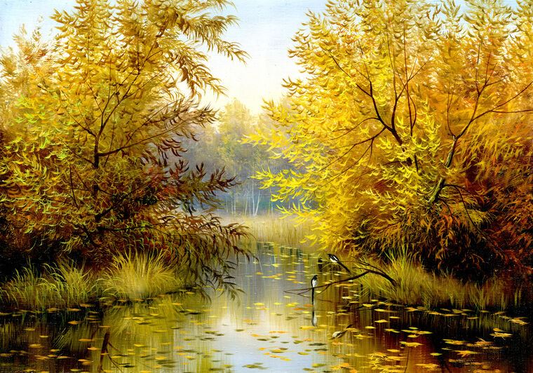 Картины, фото с паспарту Autumn willow above the river