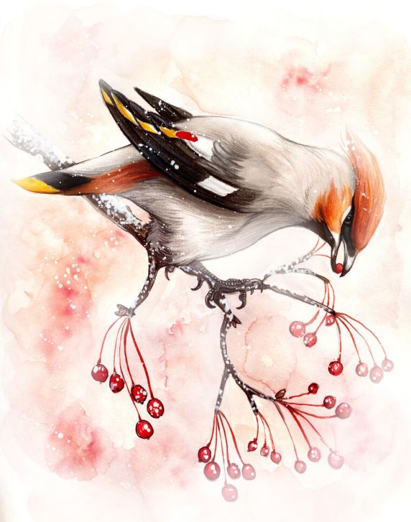 Картины на пластике, пеноркартоне Drawing birds with berries