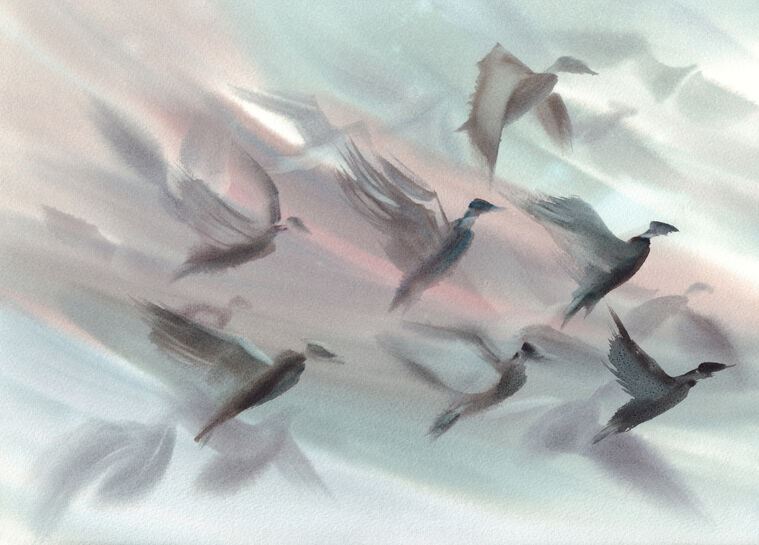 Картины на подрамнике A flock of birds watercolor