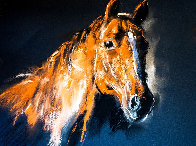 Картины на пластике, пеноркартоне Horse drawing with pastels