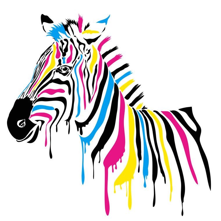 Картины, фото с паспарту Colorful Zebra