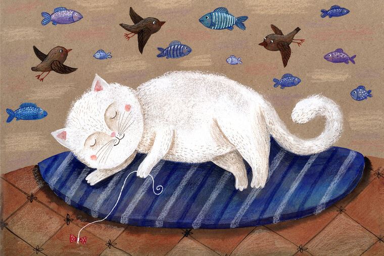 Картины на подрамнике White cat sleeping