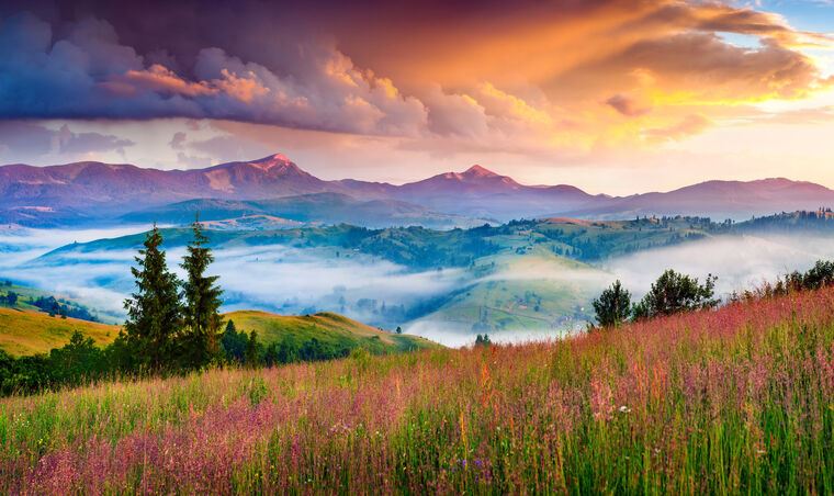 Купить и печать на заказ Картины, фото с паспарту Туманный летний восход солнца в Карпатах