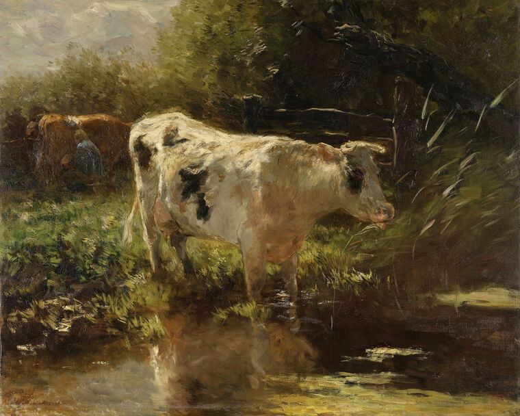 Картины на фотобумаге A cow near a ditch (Willem Maris)