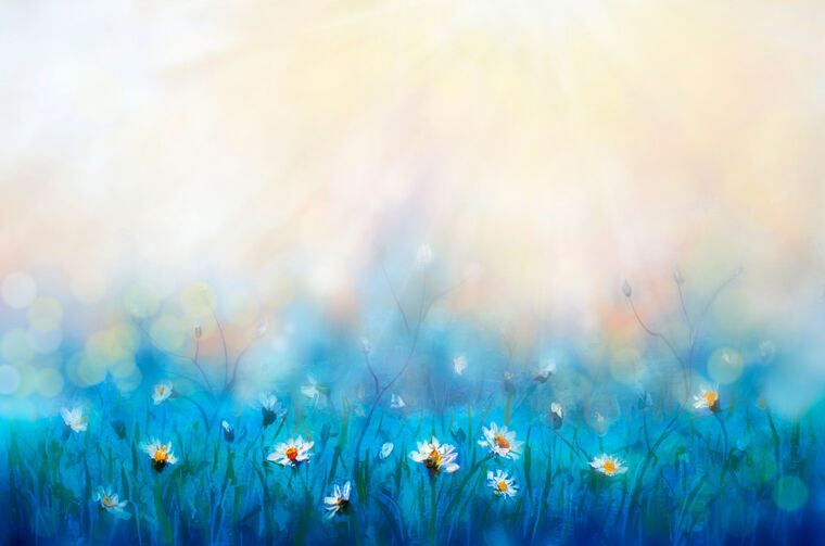 Картины на пластике, пеноркартоне Daisies in a meadow