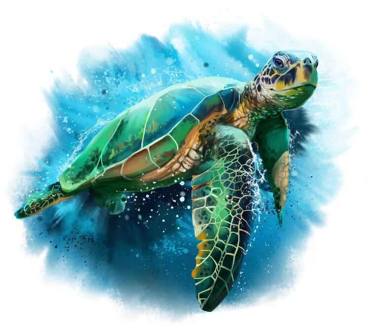 Картины, фото с паспарту Digital illustration of sea turtle