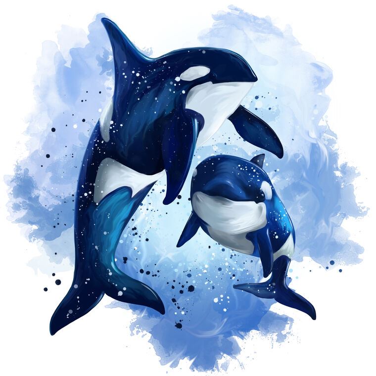 Картины на пластике, пеноркартоне Digital illustration of killer whale