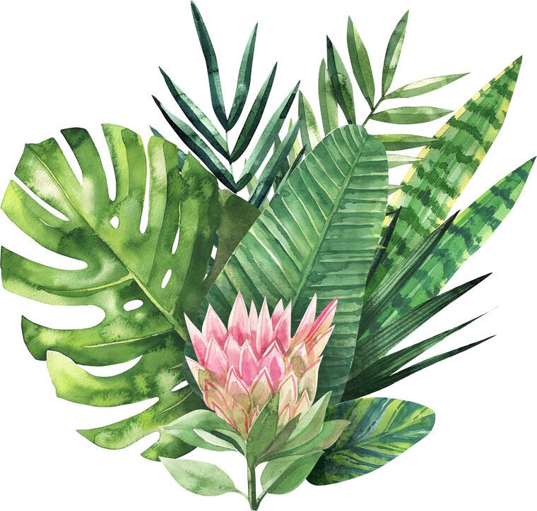 Картины на пластике, пеноркартоне An arrangement of tropical leaves