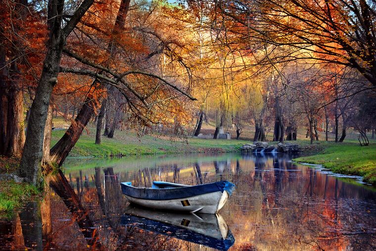 Картины на пластике, пеноркартоне Boat on lake in autumn forest