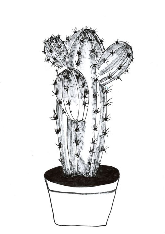 Картины, фото с паспарту Cactus cartoon style