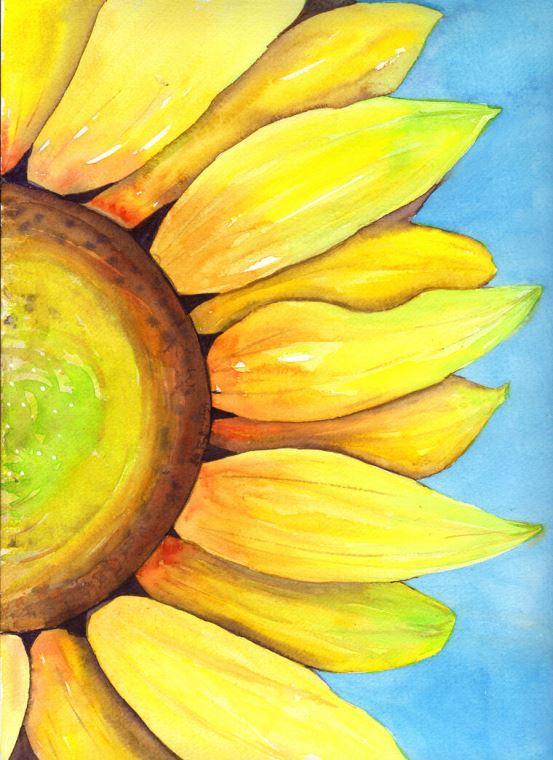 Картины Sunflower watercolor
