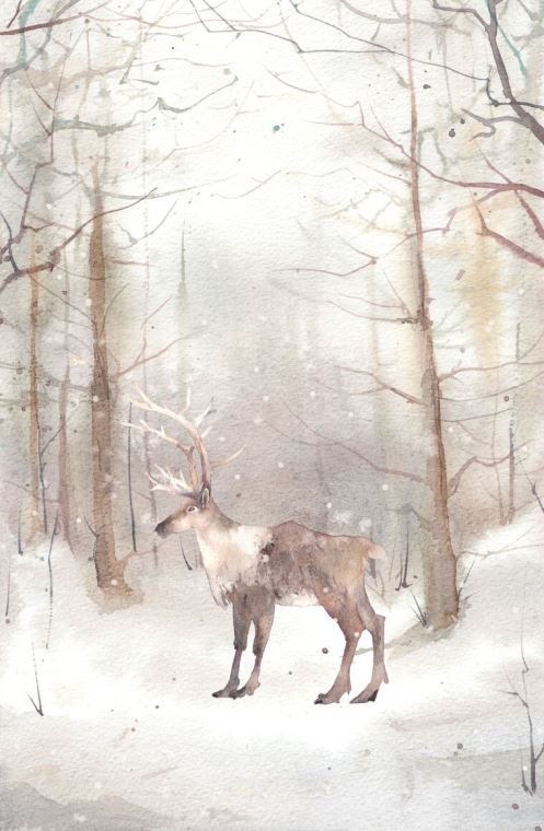 Картины, фото с паспарту Deer in the forest watercolor