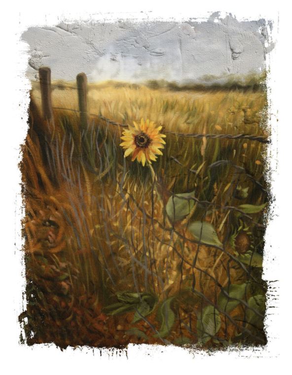 Картины в рамке, багете Lone sunflower