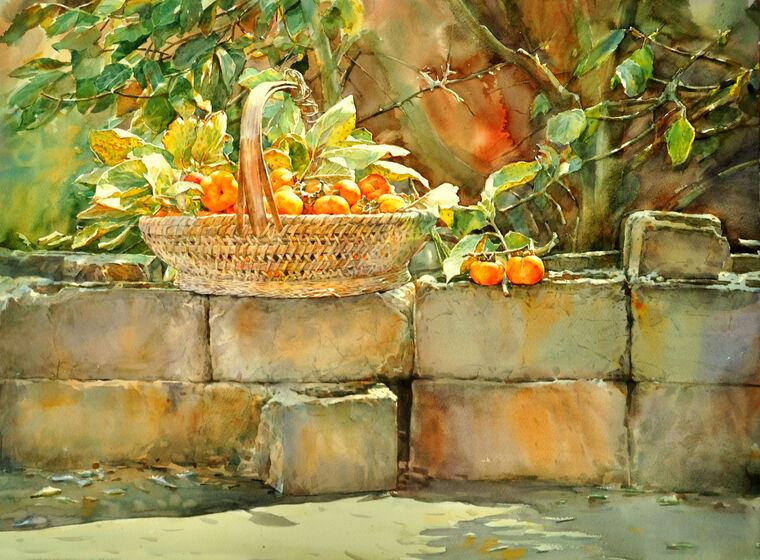 Картины, фото с паспарту Persimmon in the sun watercolor painting