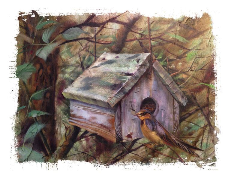 Картины на фотобумаге Bird house