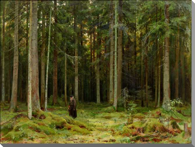 Картины In the forest of Countess Mordvinova. Peterhof
