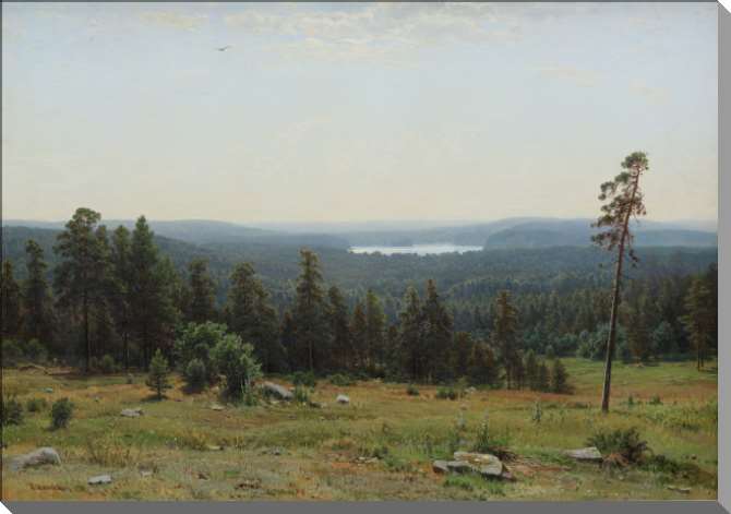 Paintings Forest distances