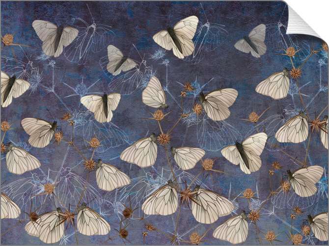 Картины Бабочки на стене-гранж синего цвета