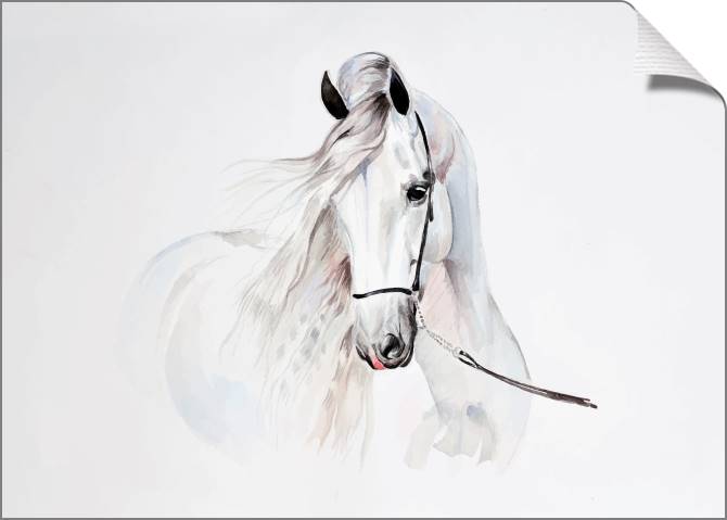 Купить и печать на заказ Картины Белая лошадь иллюстрация