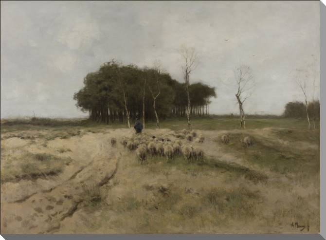 Картины On the Heath near Laren (Anton Mauve)