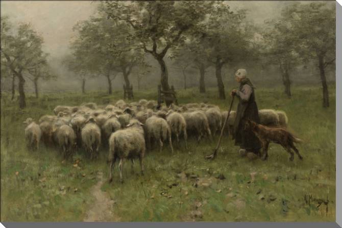 Картины Shepherdess with flock of sheep (Anton Mauve)