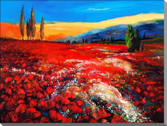 Картины Bright field of poppies