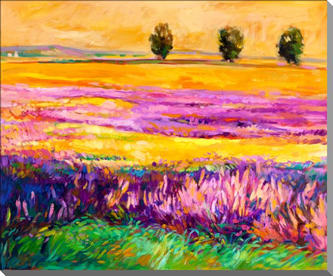 Картины Sunny field of lavender